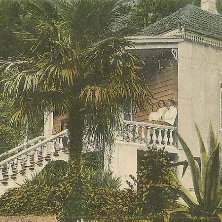 Вилла House On Magnolii 1 Батуми Экстерьер фото
