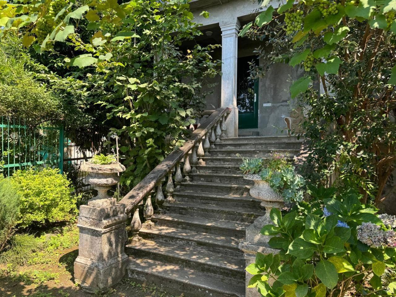 Вилла House On Magnolii 1 Батуми Номер фото